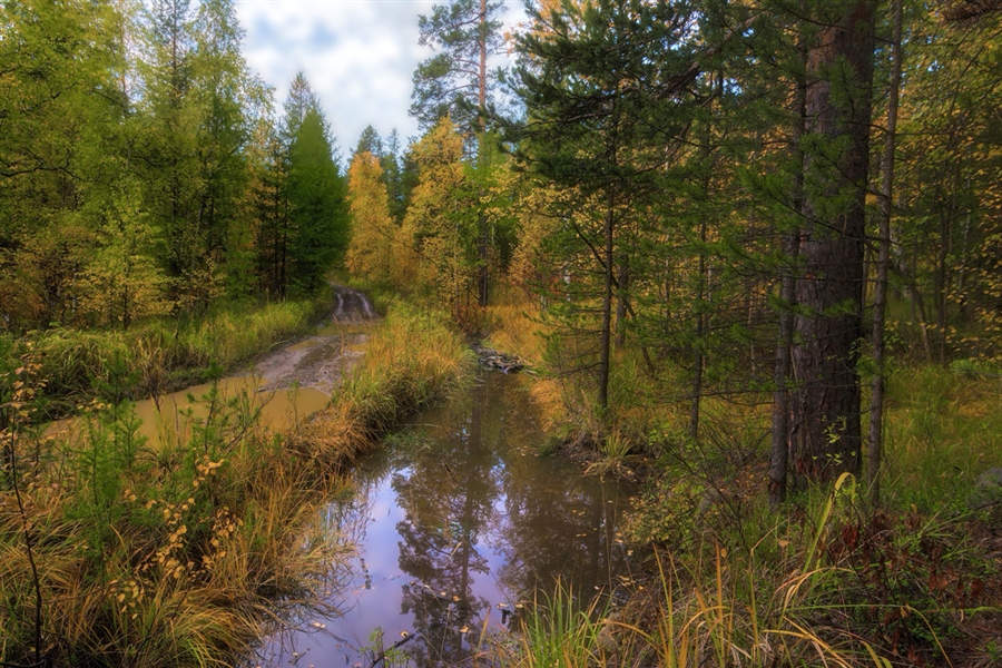 Фото жизнь