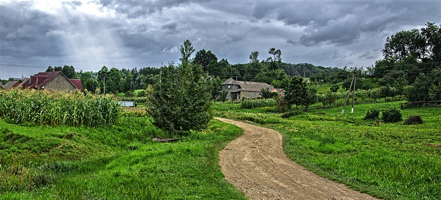 Фото жизнь