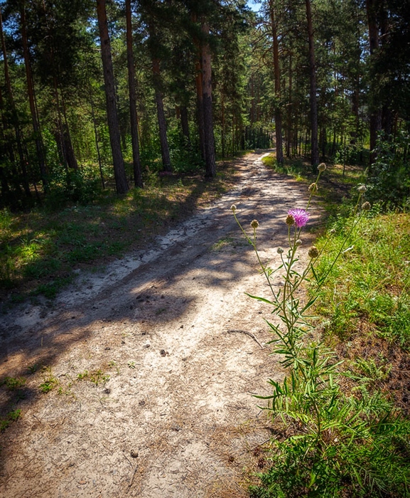 Фото жизнь