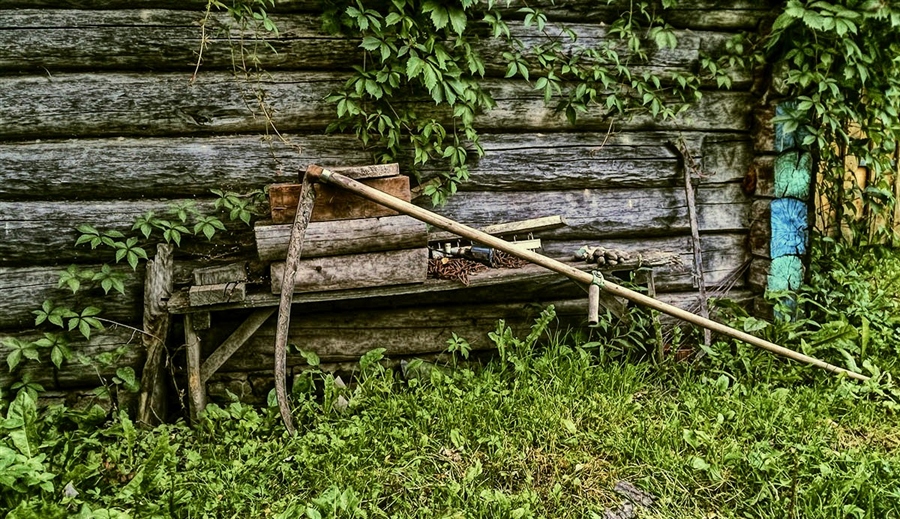Фото жизнь