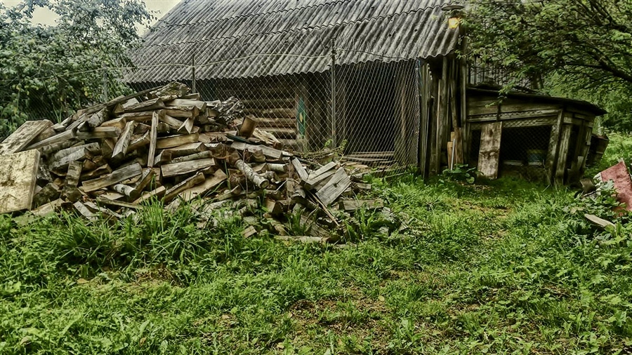 Фото жизнь