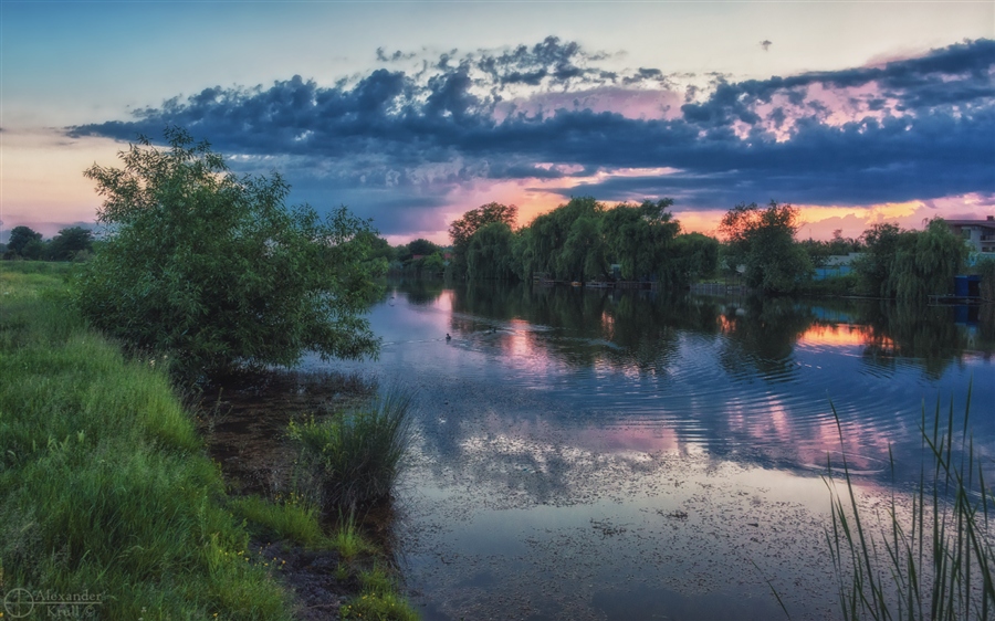 Фото жизнь