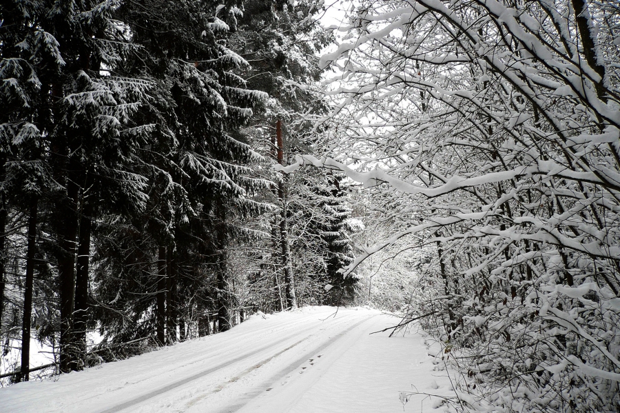 Фото жизнь (light) - CarMan - пейзажи - про зиму