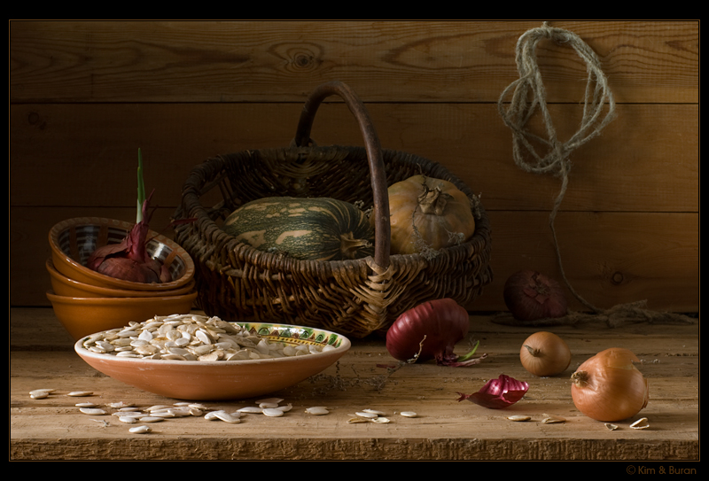 Фото жизнь (light) - Kим и Буран - Still Life - натюрморт с тыквенными семечками