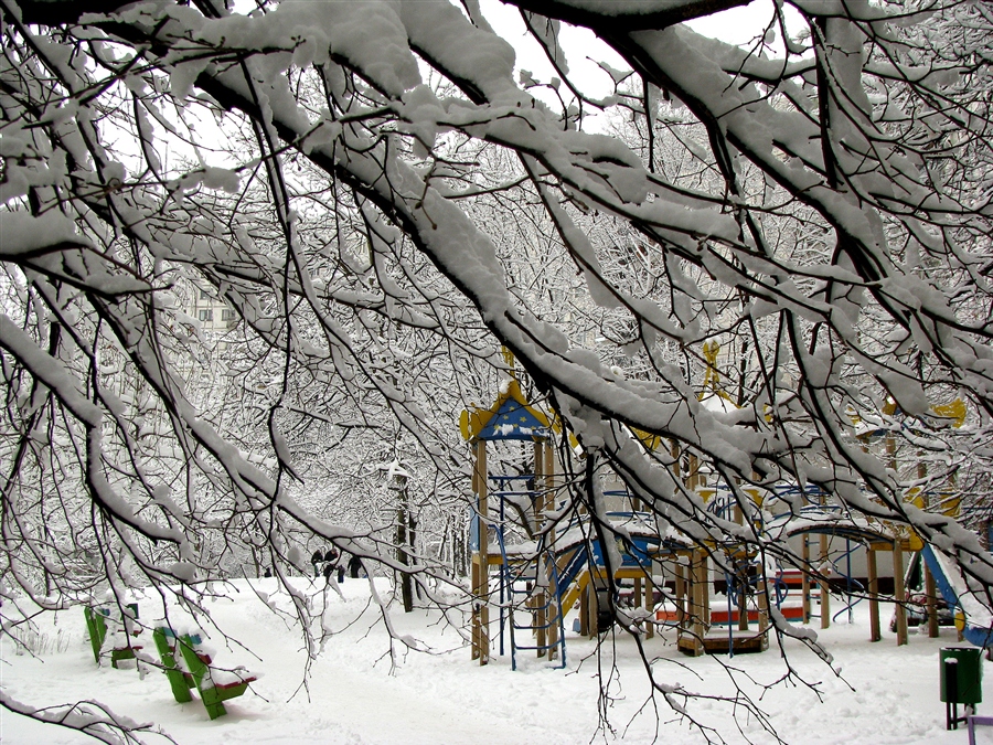 Фото жизнь