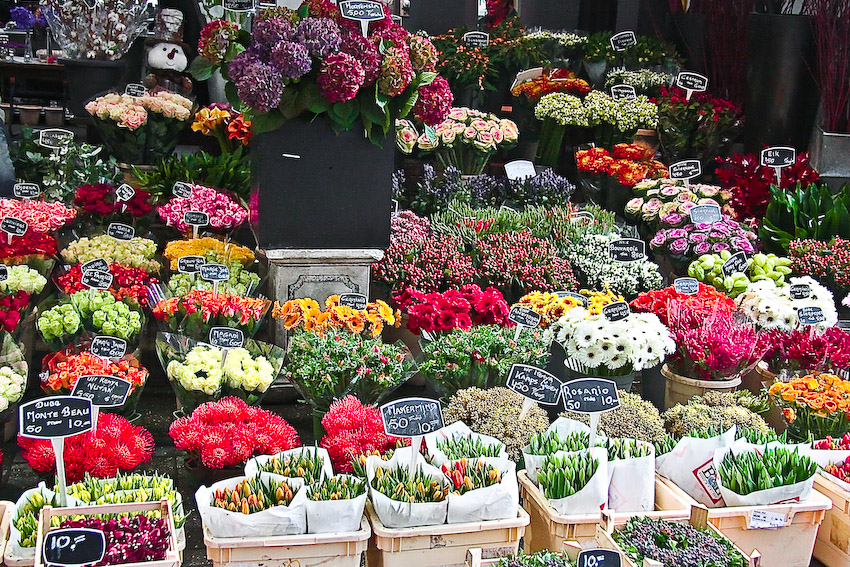 Фото жизнь - lidia - Путешествия - Flower market