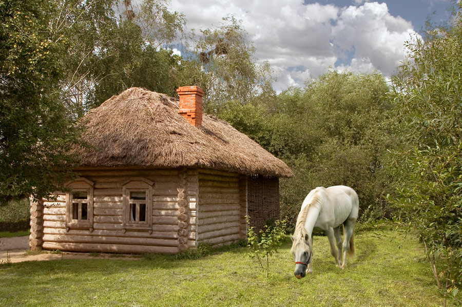 Фото жизнь