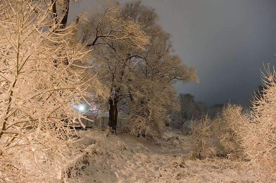 Фото жизнь (light) - Pastor - Зима - Зимний пейзаж