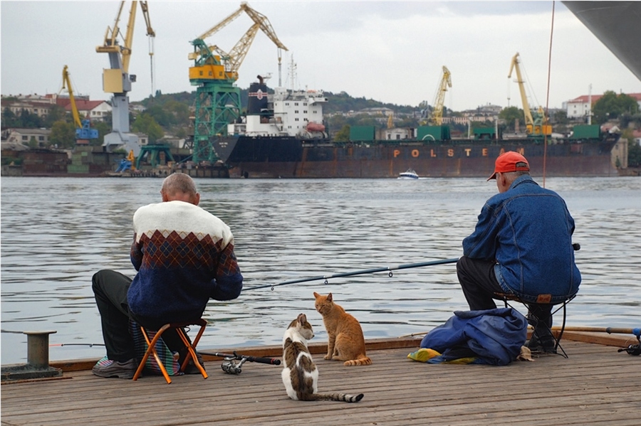 Фото жизнь