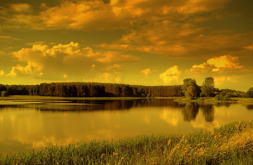 Фото жизнь (light) - Rostik - корневой каталог - ***