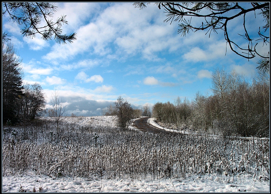 Фото жизнь