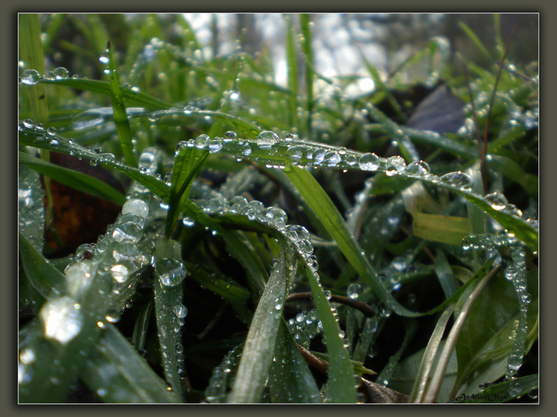 Фото жизнь (light) - Anolga - Разное - Идет дождь-плачет осень,встречаясь с зимой