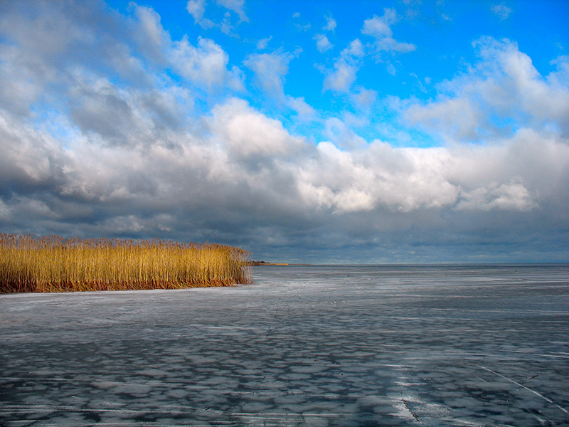 Фото жизнь (light) - Milo - Raw Nature - Lake Peipsi