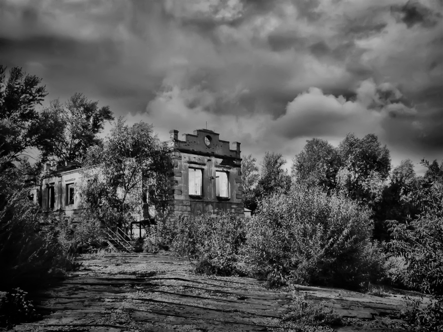 Фото жизнь