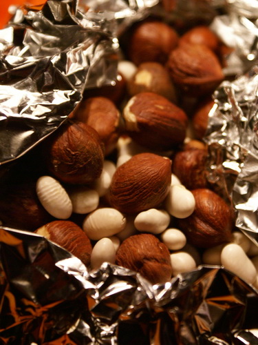 Фото жизнь (light) - bustrik - корневой каталог - фундук-фасоль:)