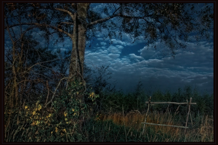 Фото жизнь (light) - Павел - корневой каталог - Пока луна за облаками..