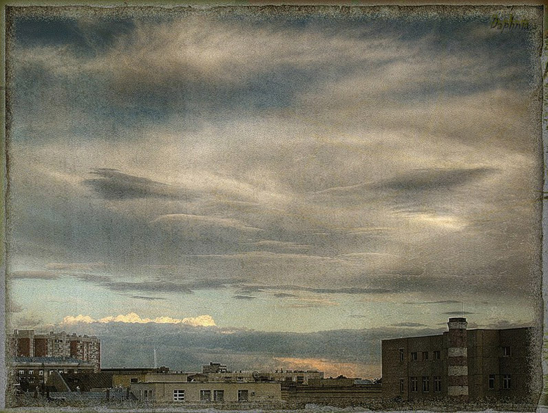 Фото жизнь (light) - Daphnia - Лефортовская блажь. - Кот.