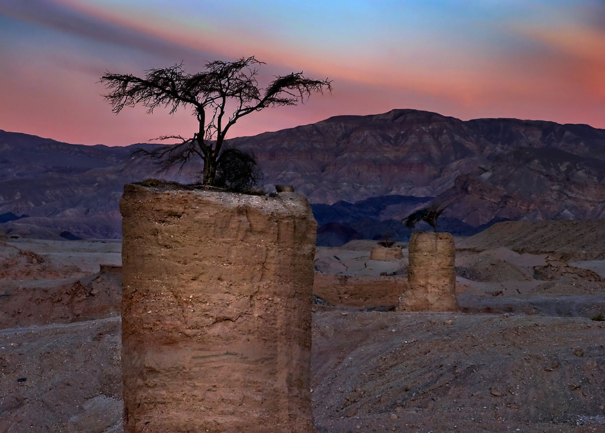 Фото жизнь (light) - kuchum13 - корневой каталог - и на камнях растут деревья