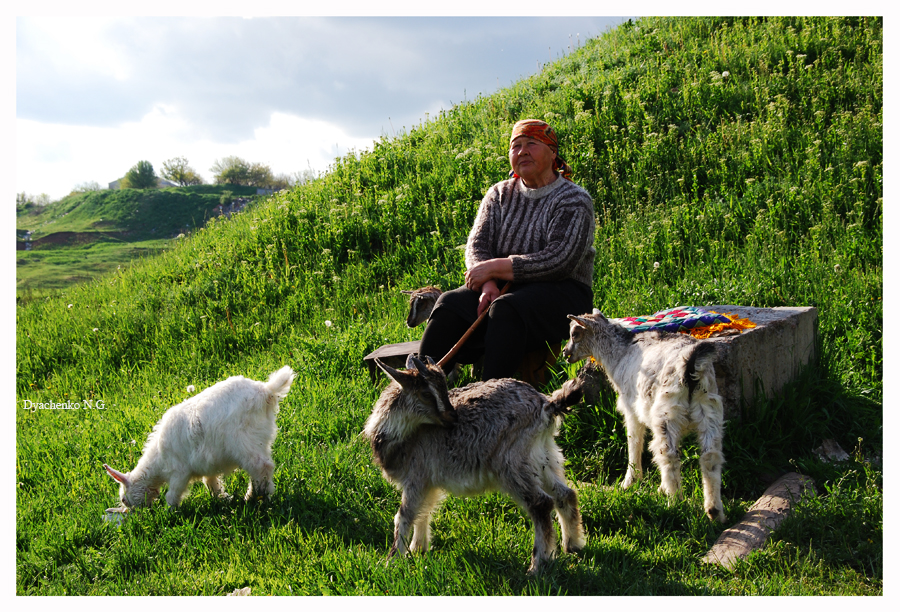 Фото жизнь (light) - Dyachenko_Nikolay - моменты из жизни - были у бабуси...