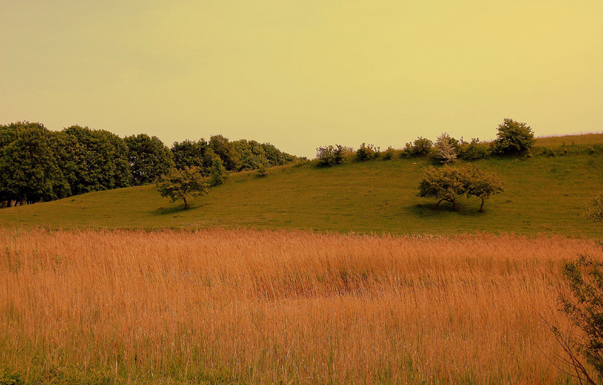 Фото жизнь (light) - Rostik - корневой каталог - ***