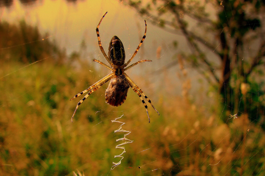 Фото жизнь (light) - Rostik - корневой каталог - ***