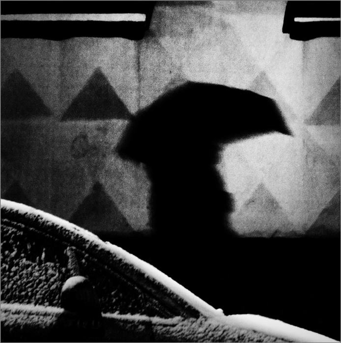 Фото жизнь (light) - Laplace - корневой каталог - Чёрная птица декабря