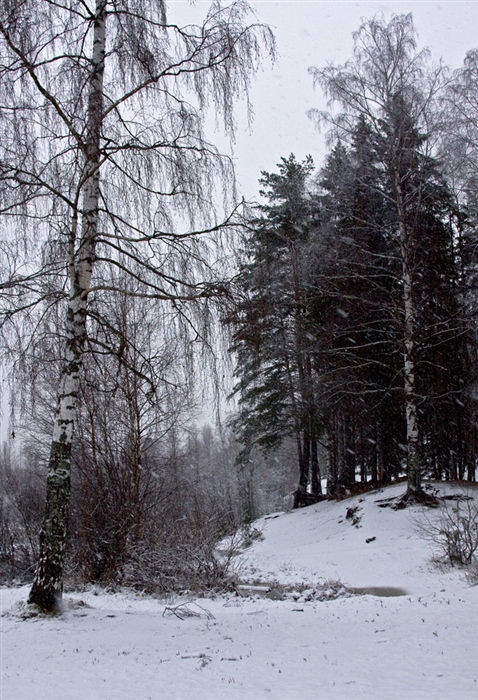 Фото жизнь