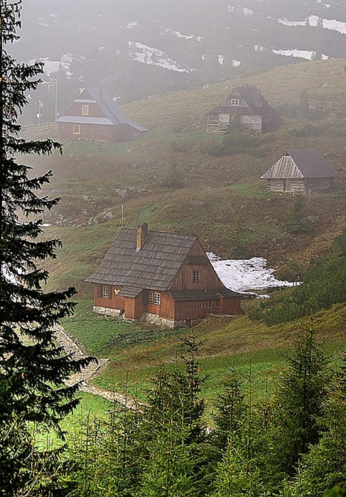 Фото жизнь