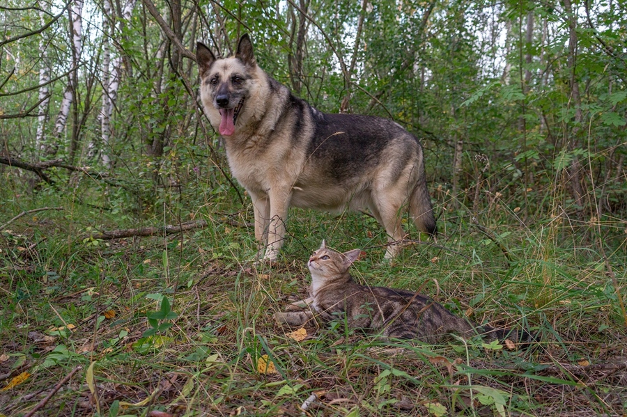 Фото жизнь