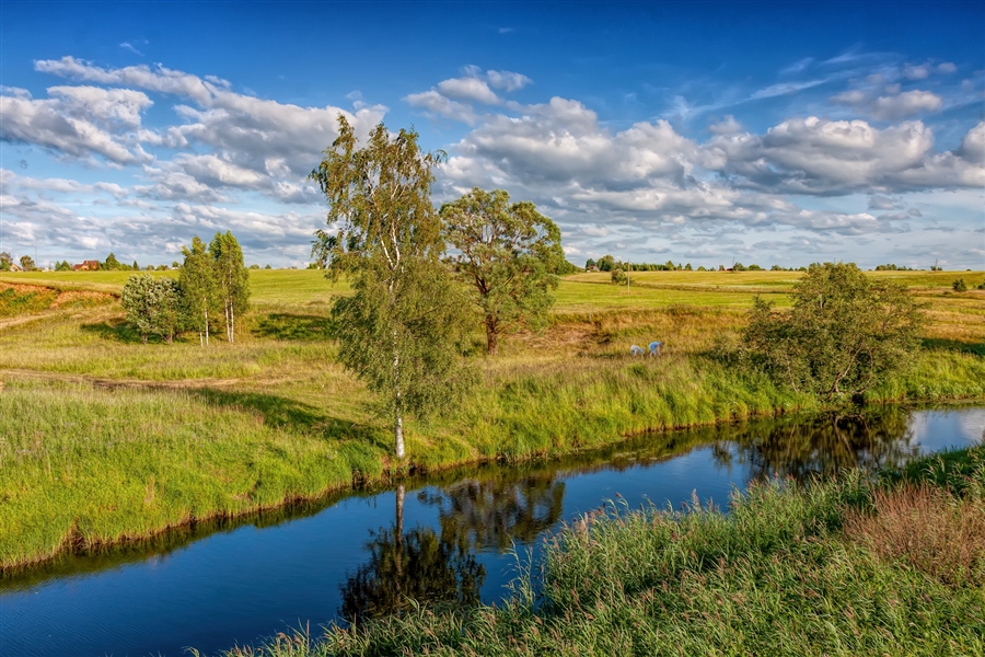 Фото жизнь