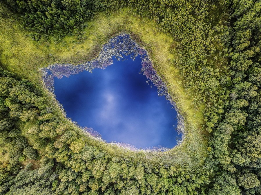 Фото жизнь