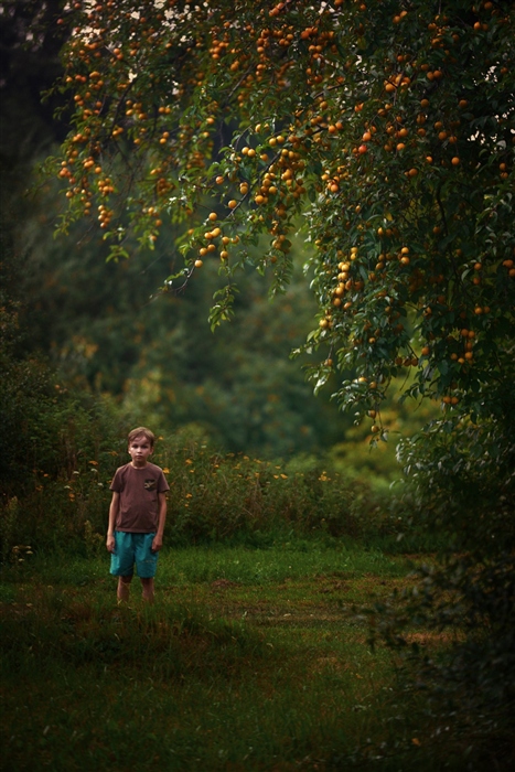 Фото жизнь
