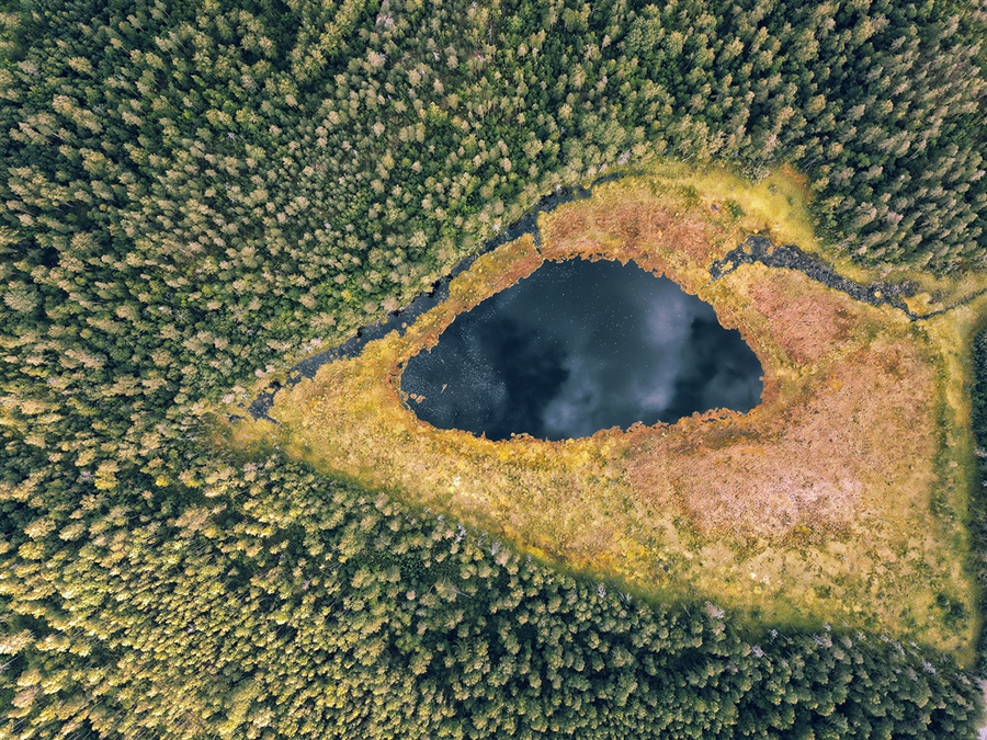 Фото жизнь