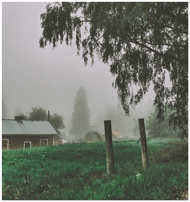 Фото жизнь