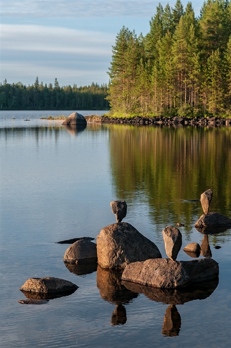 Фото жизнь