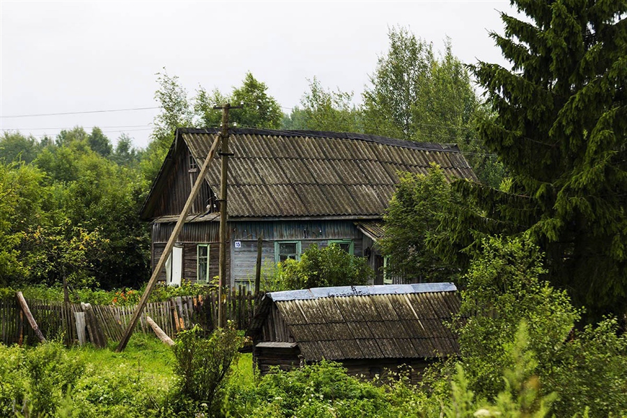 Фото жизнь