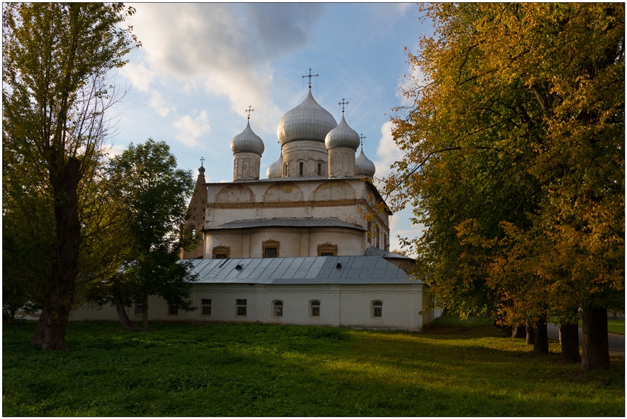 Фото жизнь
