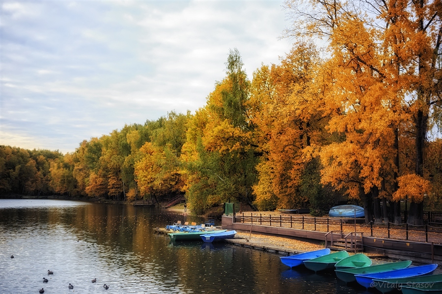 Фото жизнь