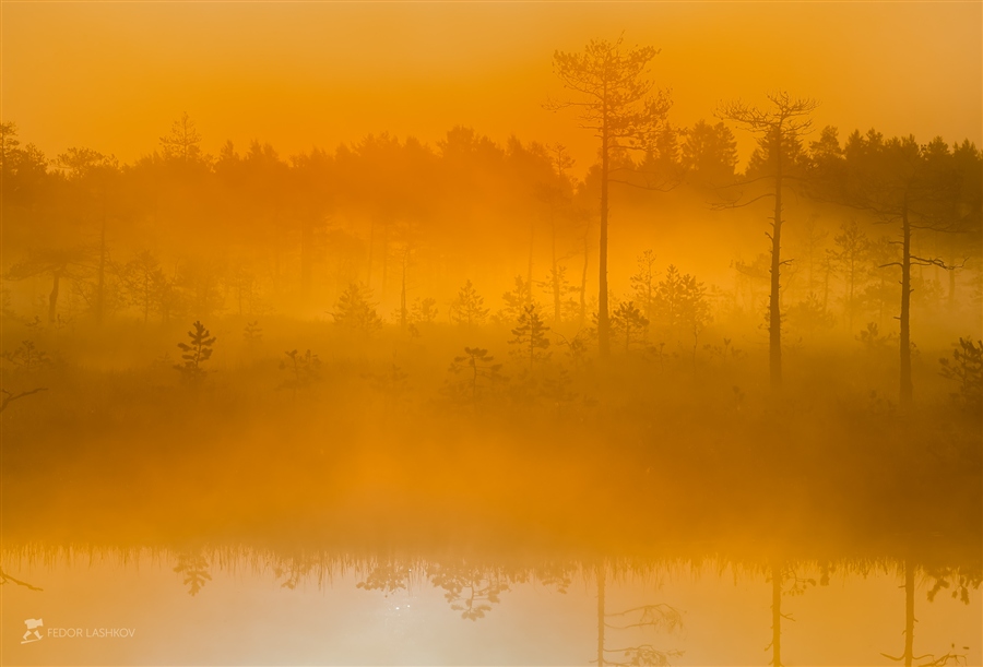 Фото жизнь (light) - Фёдор Лашков - корневой каталог - Оранжевый туман