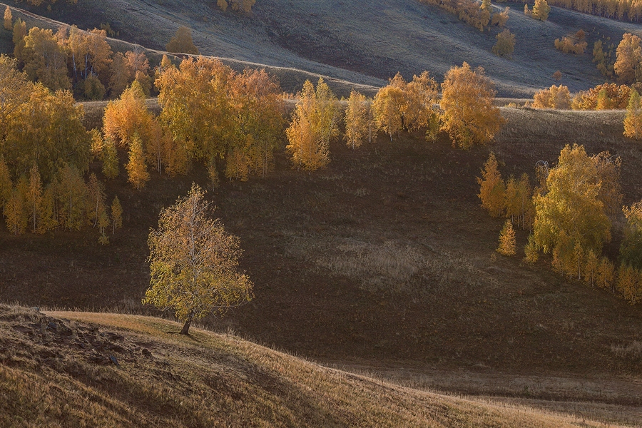 Фото жизнь (light) - © Евгений Плишкин - корневой каталог - Осень_1