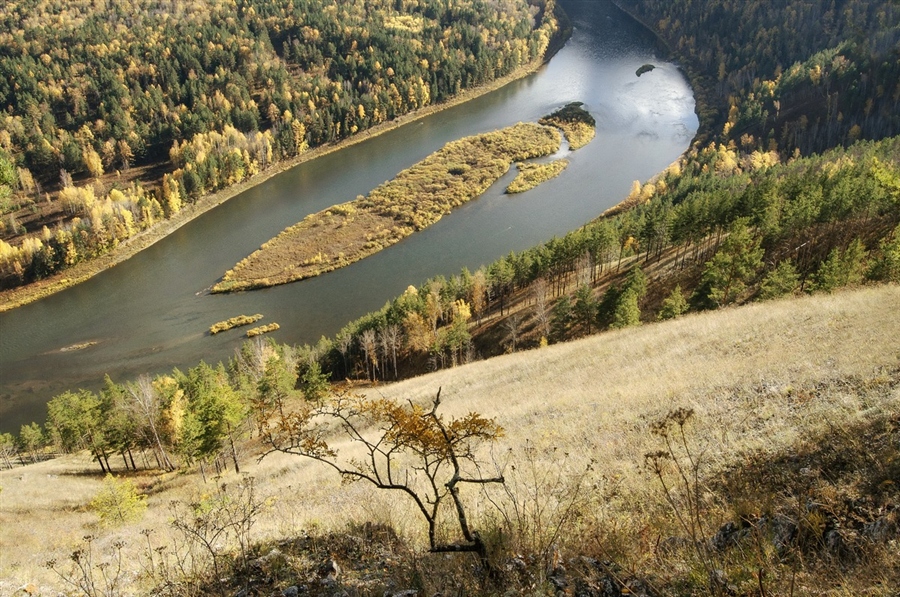 Фото жизнь