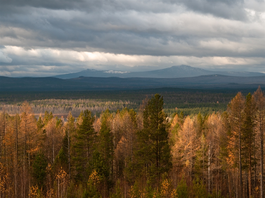 Фото жизнь