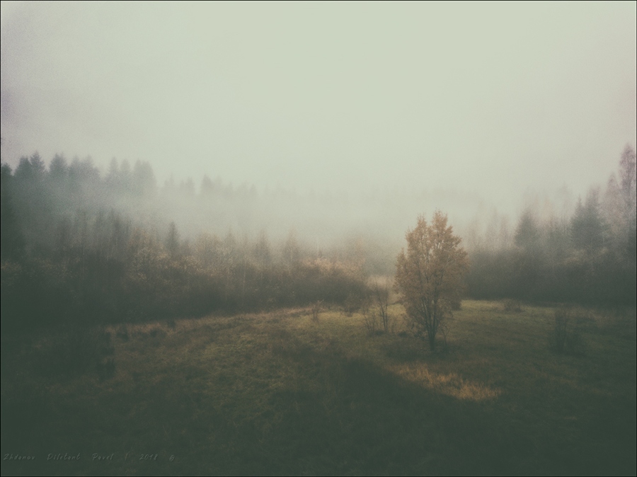 Фото жизнь (light) - Diletant - корневой каталог - Под холодною властью тумана