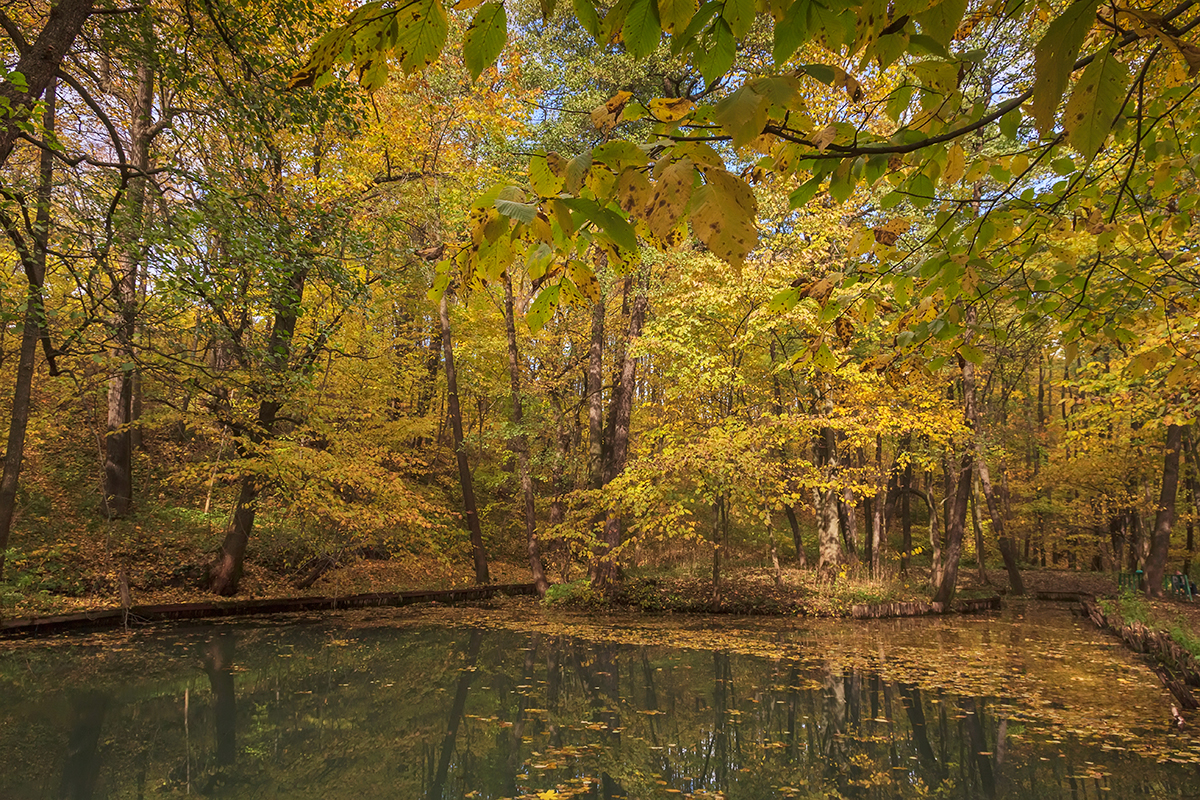 ?¤??N??? ?¶???·??N?