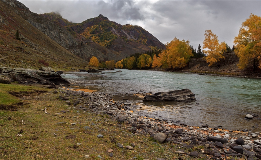 Фото жизнь