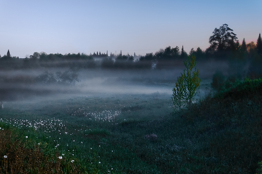 Фото жизнь - Владимир Деньгуб - Пейзаж - Вечерний туман