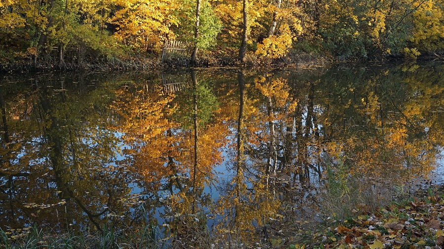 Фото жизнь