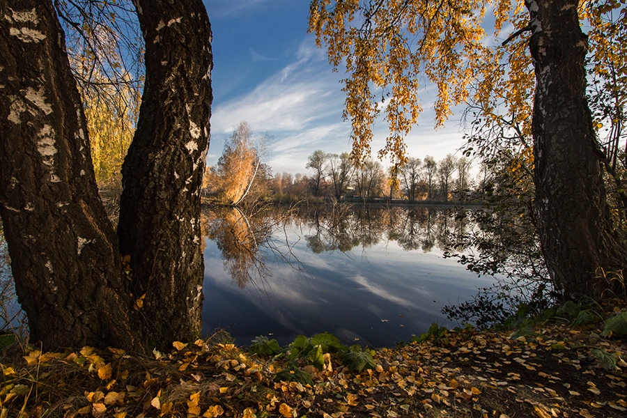 Фото жизнь