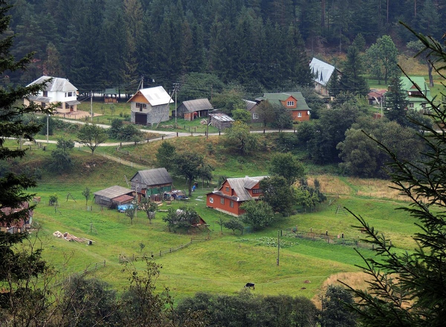 Фото жизнь