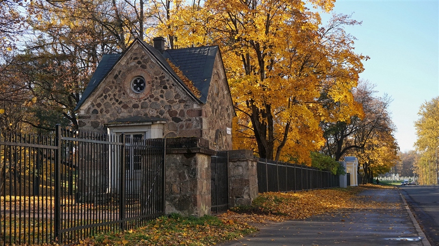 Фото жизнь